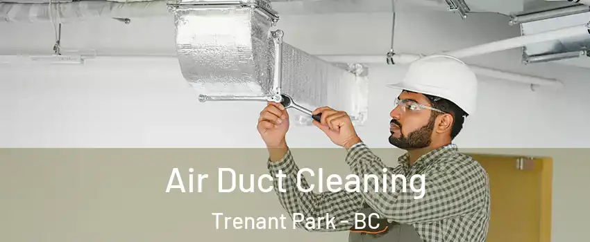  Air Duct Cleaning Trenant Park - BC