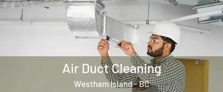  Air Duct Cleaning Westham Island - BC