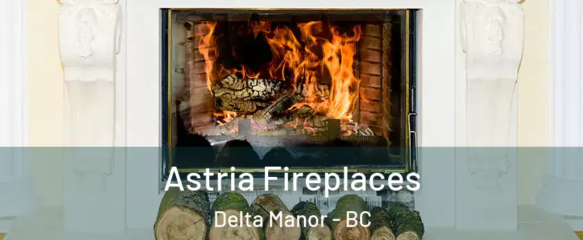  Astria Fireplaces Delta Manor - BC