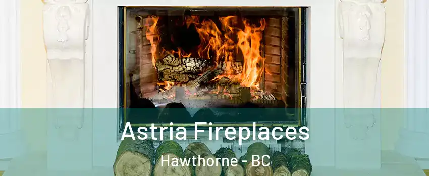  Astria Fireplaces Hawthorne - BC