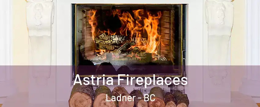  Astria Fireplaces Ladner - BC