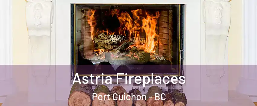  Astria Fireplaces Port Guichon - BC