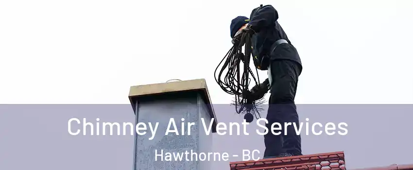  Chimney Air Vent Services Hawthorne - BC