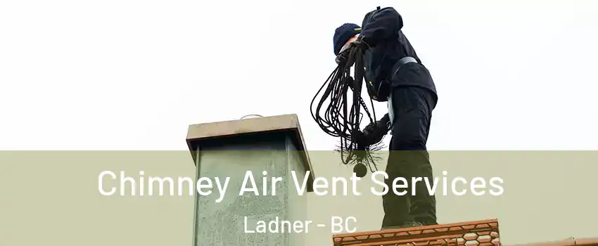  Chimney Air Vent Services Ladner - BC