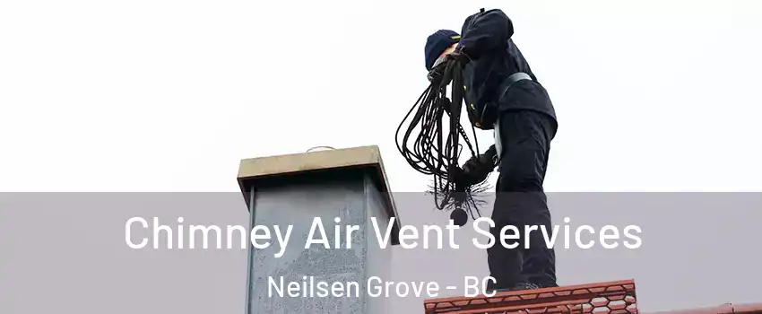  Chimney Air Vent Services Neilsen Grove - BC