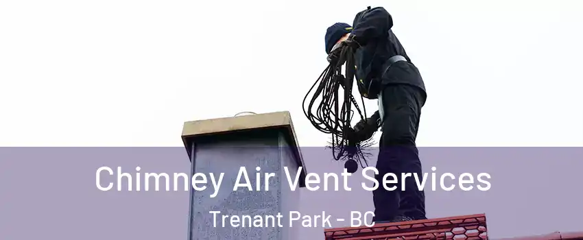  Chimney Air Vent Services Trenant Park - BC