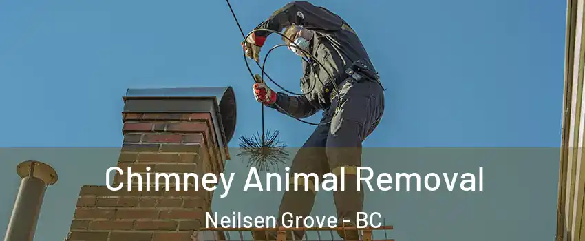  Chimney Animal Removal Neilsen Grove - BC