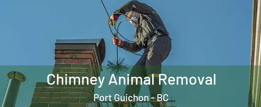 Chimney Animal Removal Port Guichon - BC