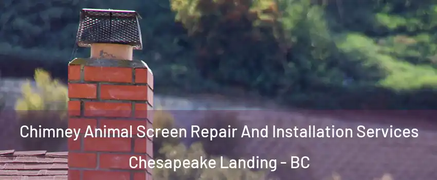  Chimney Animal Screen Repair And Installation Services Chesapeake Landing - BC