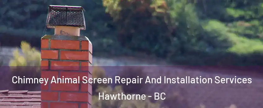  Chimney Animal Screen Repair And Installation Services Hawthorne - BC