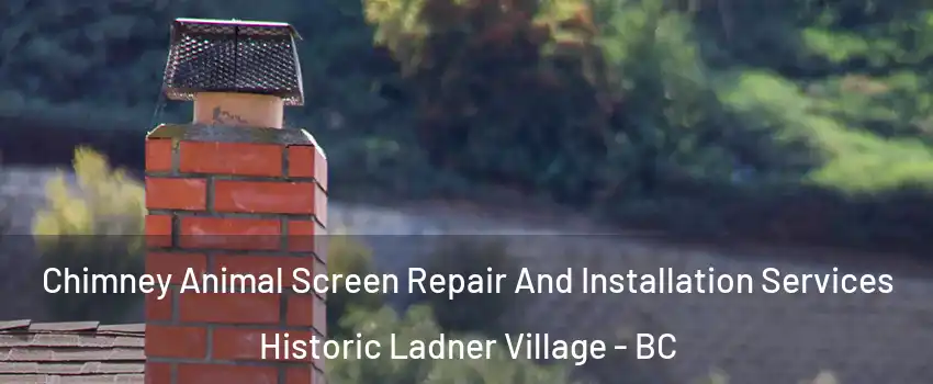  Chimney Animal Screen Repair And Installation Services Historic Ladner Village - BC