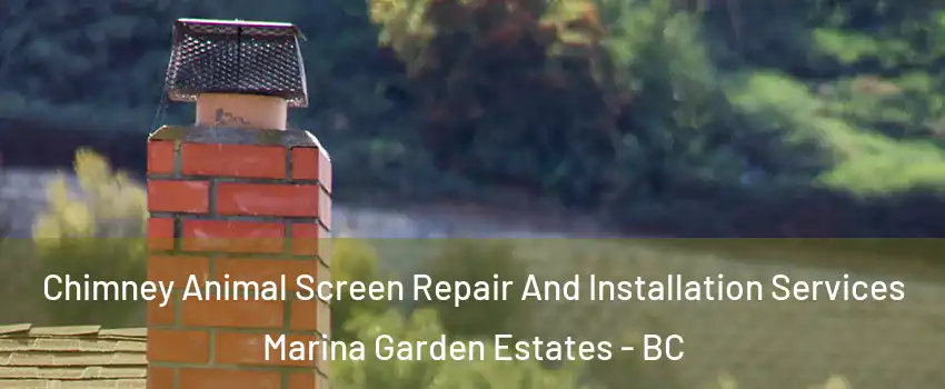  Chimney Animal Screen Repair And Installation Services Marina Garden Estates - BC