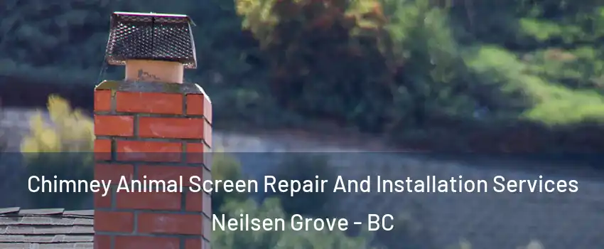  Chimney Animal Screen Repair And Installation Services Neilsen Grove - BC