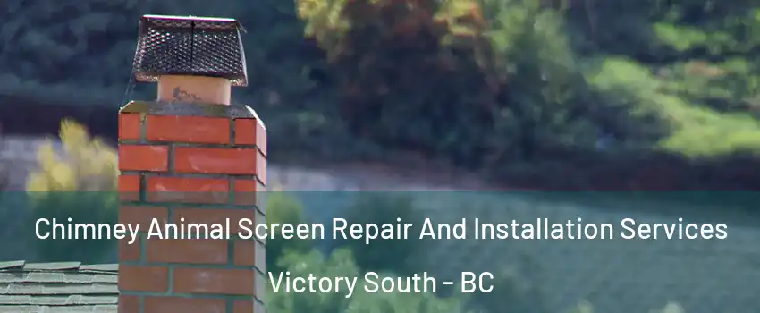  Chimney Animal Screen Repair And Installation Services Victory South - BC