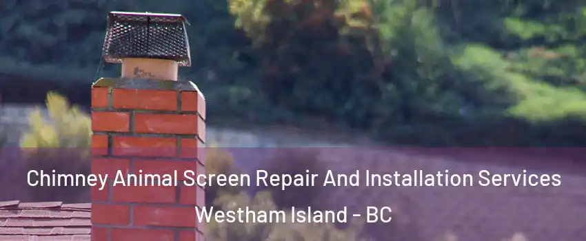 Chimney Animal Screen Repair And Installation Services Westham Island - BC
