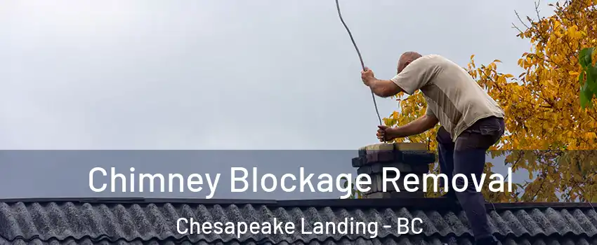 Chimney Blockage Removal Chesapeake Landing - BC
