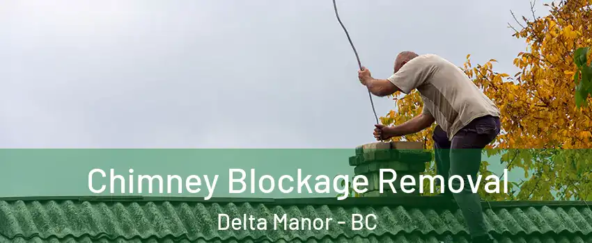  Chimney Blockage Removal Delta Manor - BC