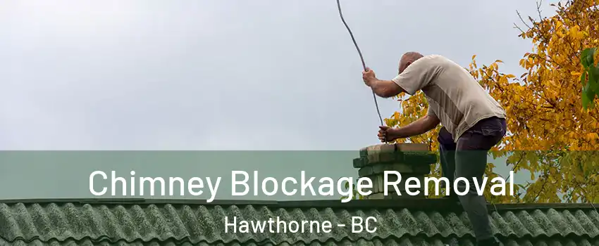  Chimney Blockage Removal Hawthorne - BC