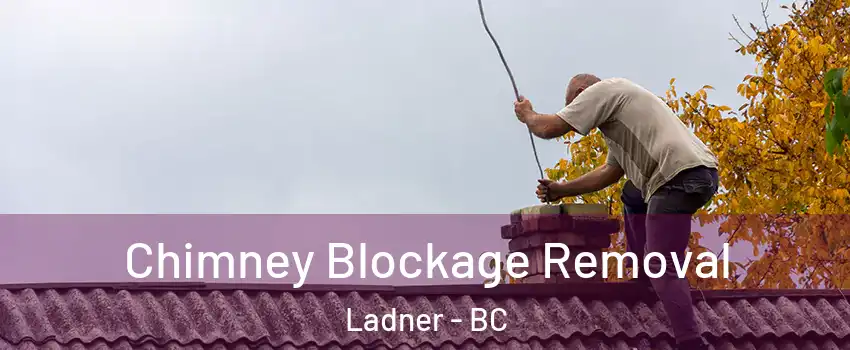  Chimney Blockage Removal Ladner - BC