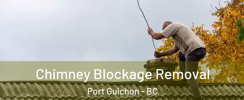  Chimney Blockage Removal Port Guichon - BC