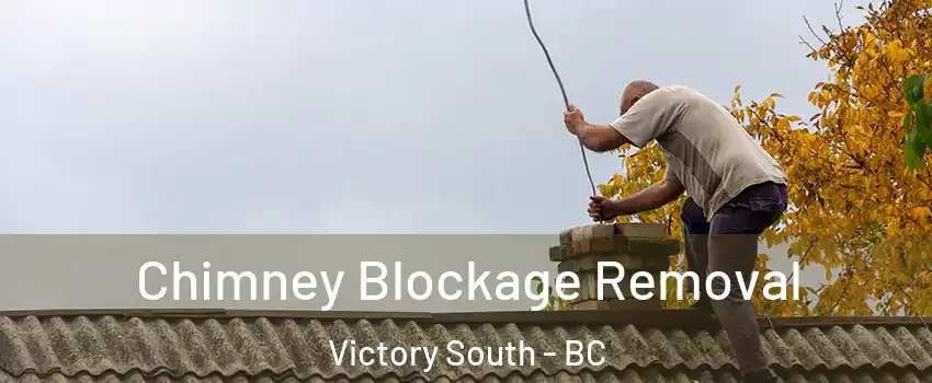  Chimney Blockage Removal Victory South - BC