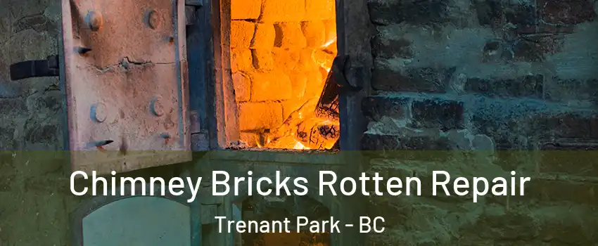  Chimney Bricks Rotten Repair Trenant Park - BC