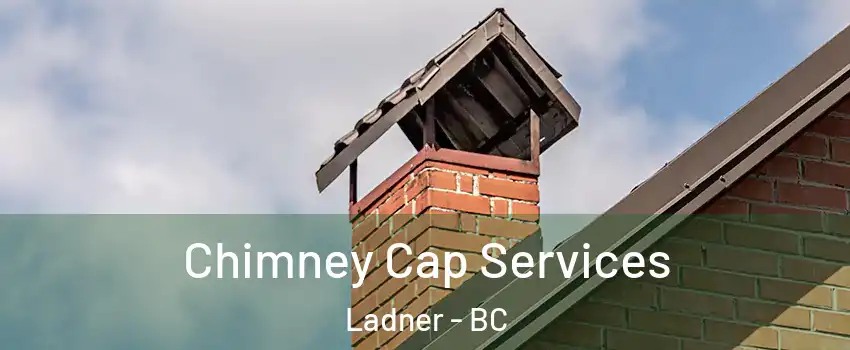  Chimney Cap Services Ladner - BC