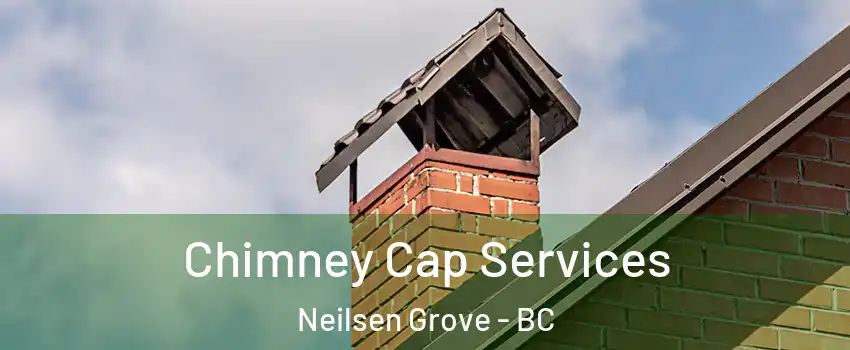  Chimney Cap Services Neilsen Grove - BC