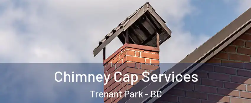  Chimney Cap Services Trenant Park - BC