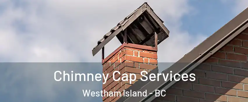  Chimney Cap Services Westham Island - BC