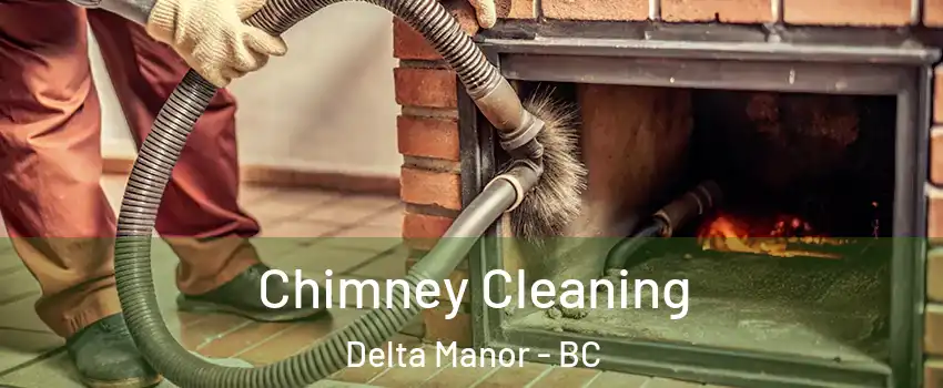  Chimney Cleaning Delta Manor - BC