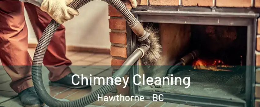  Chimney Cleaning Hawthorne - BC
