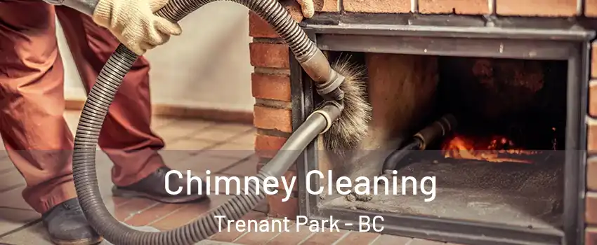  Chimney Cleaning Trenant Park - BC