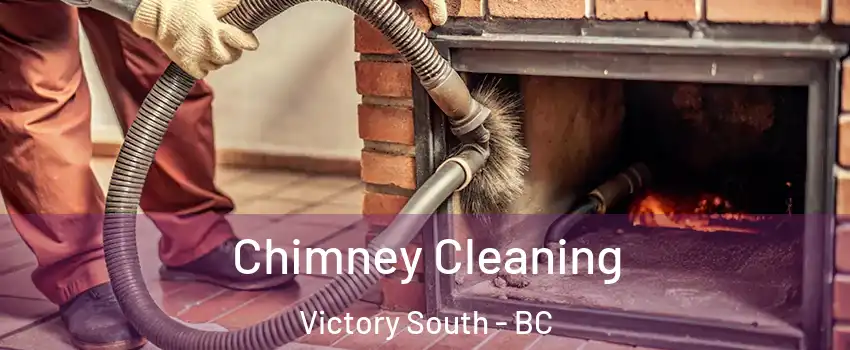  Chimney Cleaning Victory South - BC