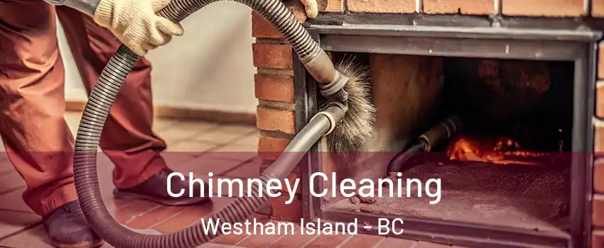  Chimney Cleaning Westham Island - BC