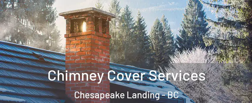  Chimney Cover Services Chesapeake Landing - BC