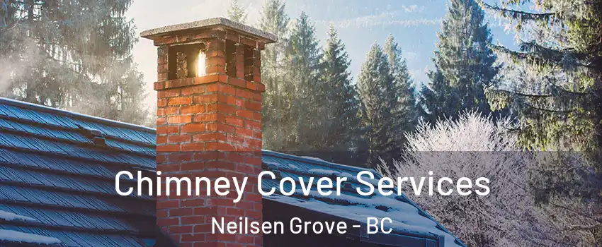  Chimney Cover Services Neilsen Grove - BC