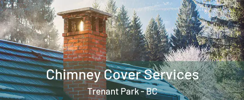  Chimney Cover Services Trenant Park - BC