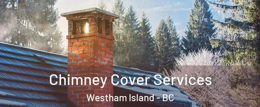  Chimney Cover Services Westham Island - BC