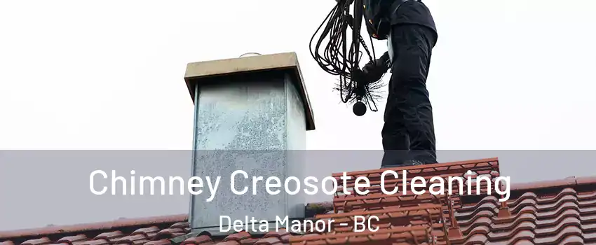  Chimney Creosote Cleaning Delta Manor - BC