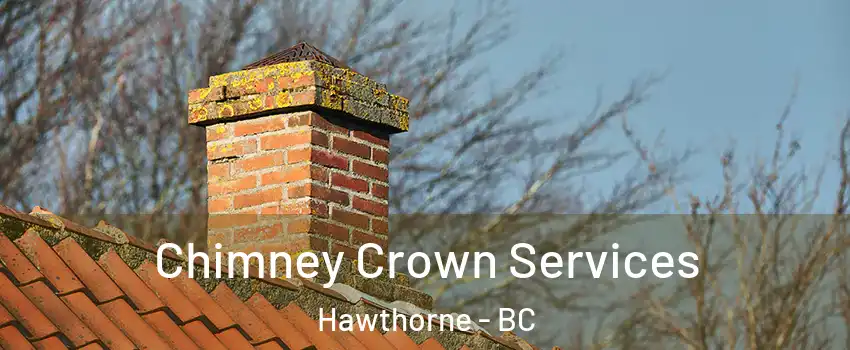  Chimney Crown Services Hawthorne - BC