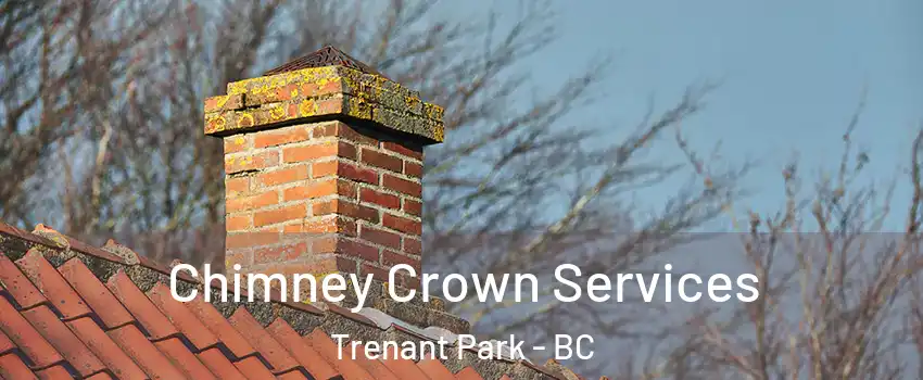  Chimney Crown Services Trenant Park - BC