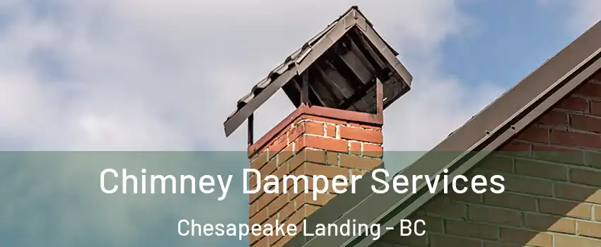  Chimney Damper Services Chesapeake Landing - BC