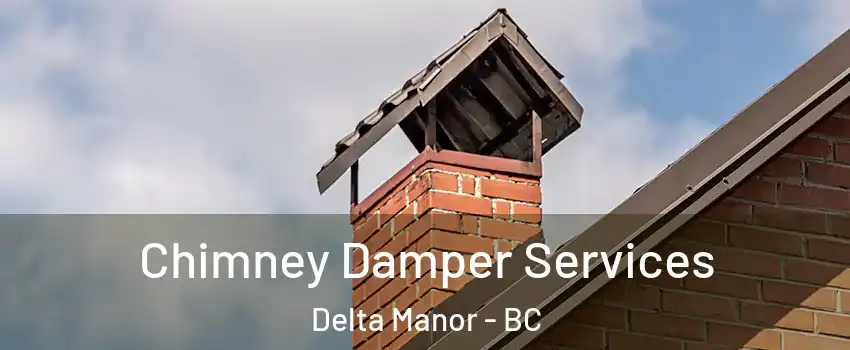  Chimney Damper Services Delta Manor - BC