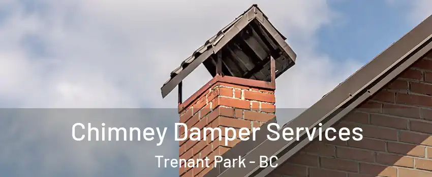  Chimney Damper Services Trenant Park - BC