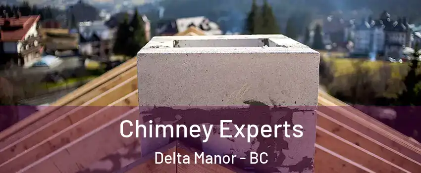  Chimney Experts Delta Manor - BC