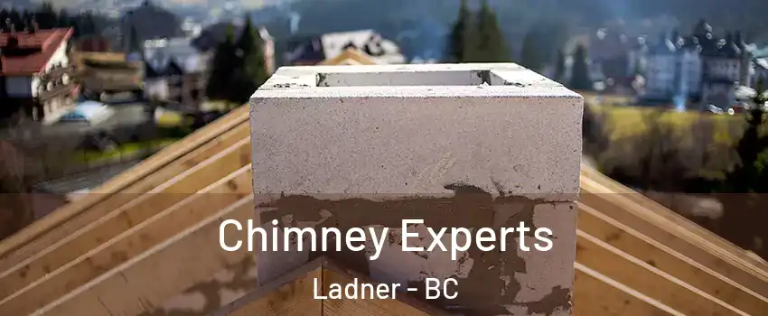  Chimney Experts Ladner - BC