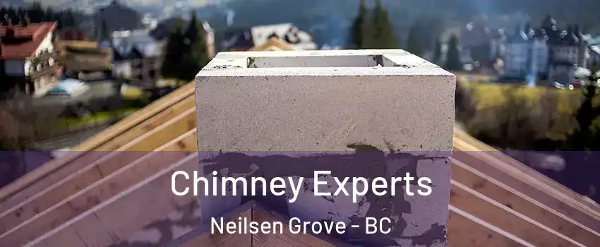  Chimney Experts Neilsen Grove - BC