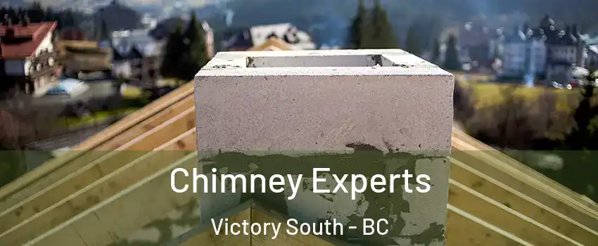  Chimney Experts Victory South - BC