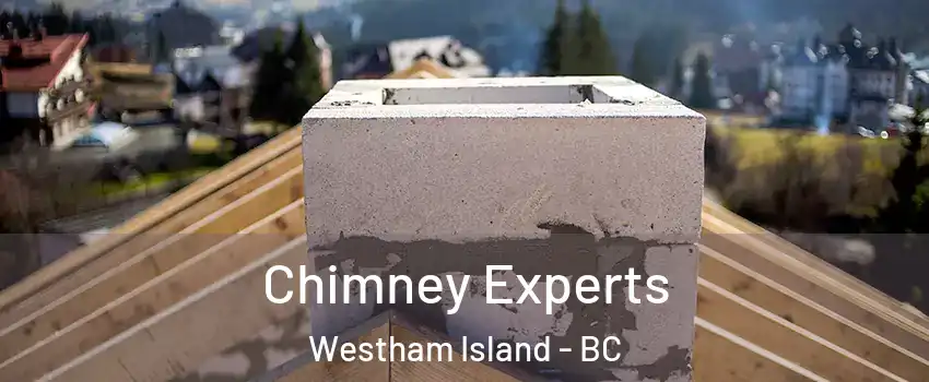  Chimney Experts Westham Island - BC